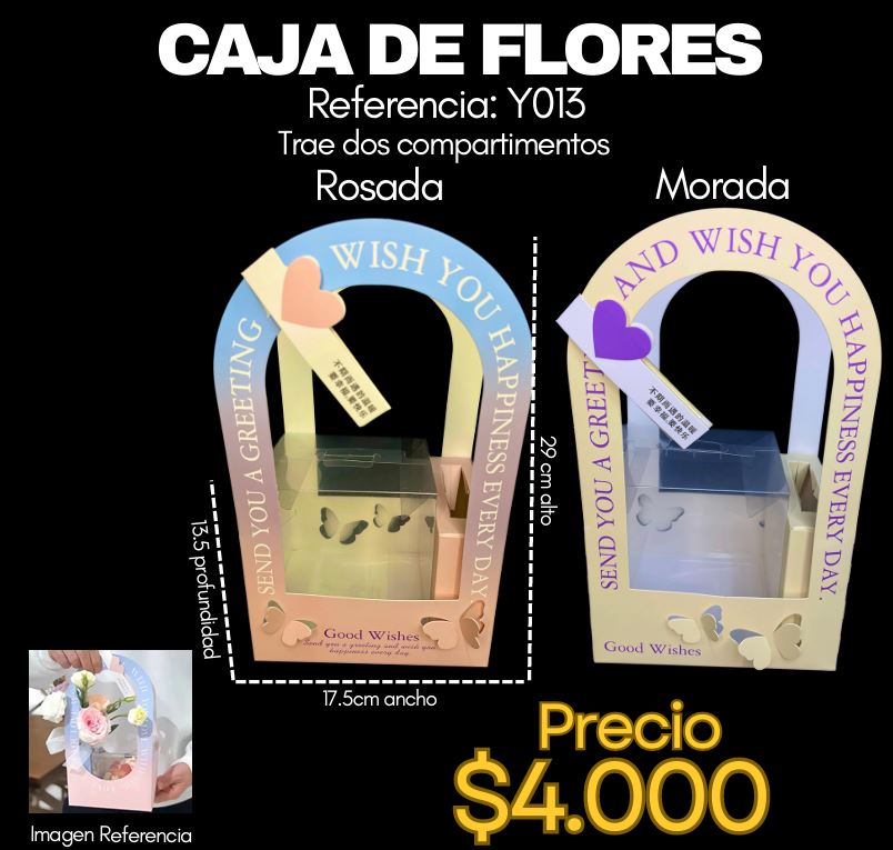 Caja ref Y013