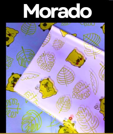 Papel Coreano - Capibara